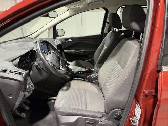 Ford C-Max 1.0 92kW Titanium picture 13