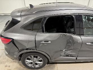 Ford Kuga 1.5EcoBoost 110kW Vignale Clima Camera picture 20