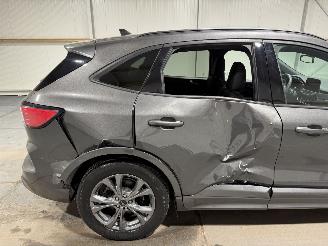 Ford Kuga 1.5EcoBoost 110kW Vignale Clima Camera picture 13