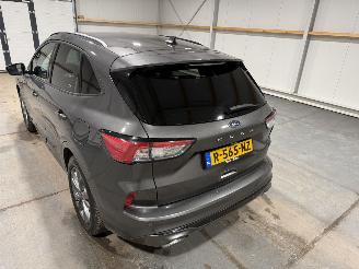 Ford Kuga 1.5EcoBoost 110kW Vignale Clima Camera picture 21