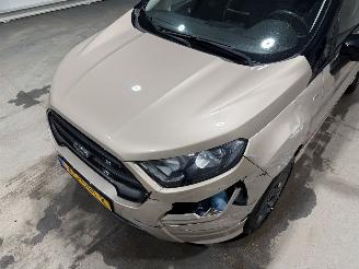 Ford EcoSport 1.0EcoBoost 92kW Clima ST-Line picture 21