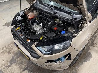 Ford EcoSport 1.0EcoBoost 92kW Clima ST-Line picture 27