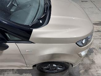 Ford EcoSport 1.0EcoBoost 92kW Clima ST-Line picture 18