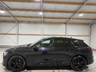 Audi E-tron 95kWh 55 300kW Quattro S Edition Luchtvering picture 8