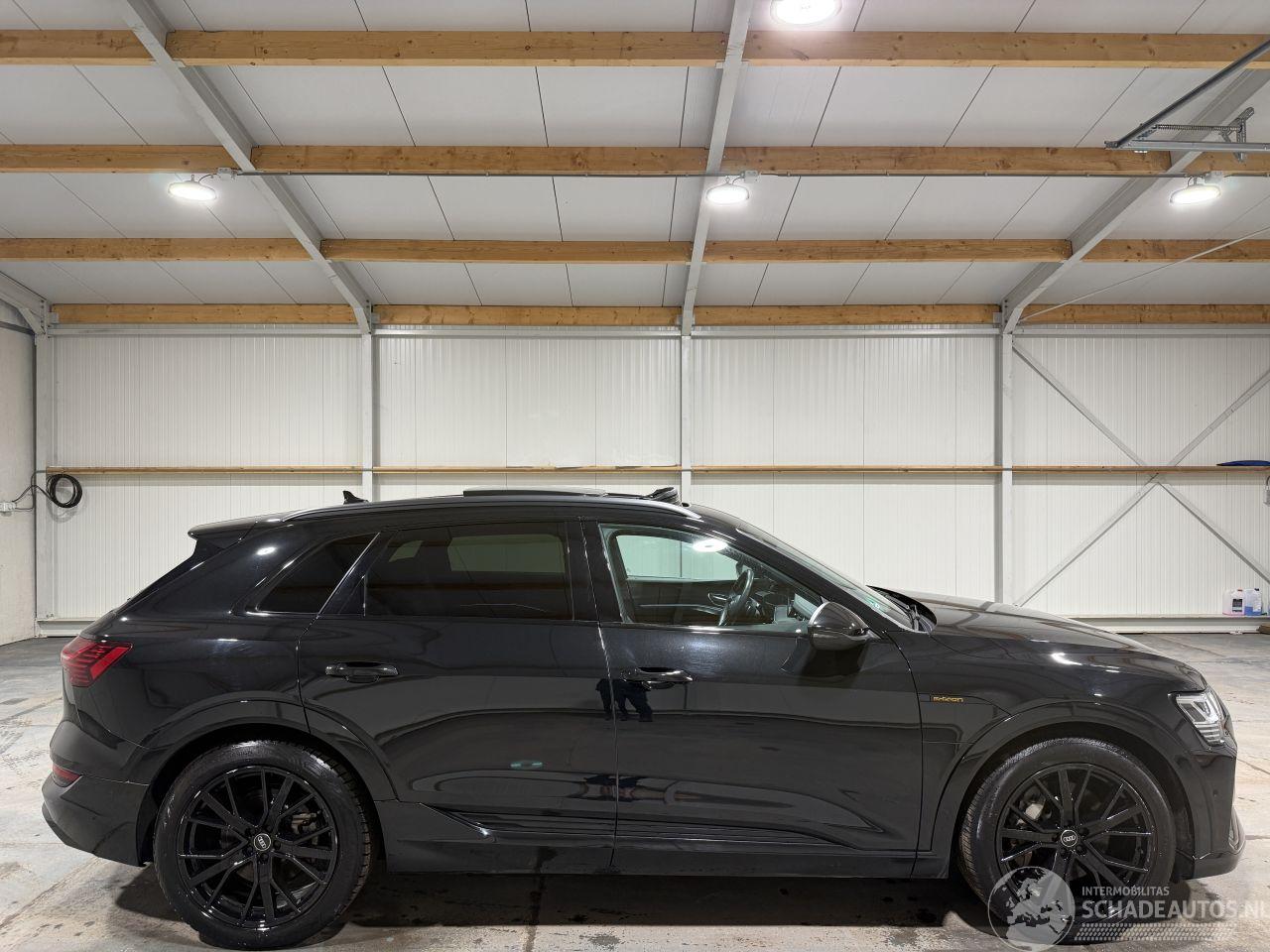 Audi E-tron 95kWh 55 300kW Quattro S Edition Luchtvering