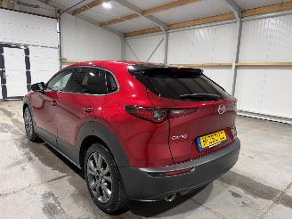 Mazda CX-30 2.0 E-SkyActiv-X 132kW M Hybrid Luxury picture 12
