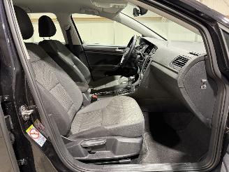 Volkswagen e-Golf 36kWh 100kW Camera Matrixled picture 32