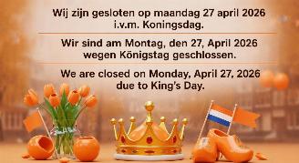 Schadeauto Abarth 595 27 APRIL KONINGSDAG GESLOTEN 2026/4