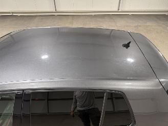 Volkswagen Golf GTI 2.0TSI 180kW Automaat Performance picture 31