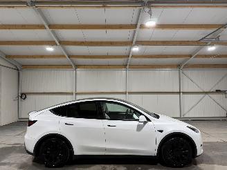 Schadeauto Tesla Model Y 58kWh 175kW RWD 2024/8