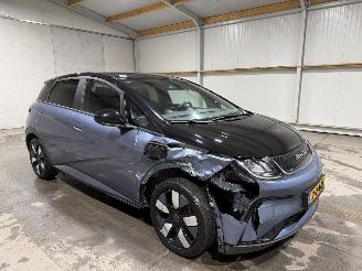 BYD Dolphin 60.4kWh 150kW Design picture 2