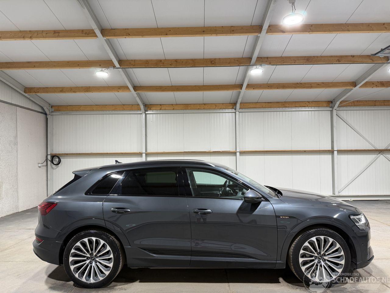 Audi E-tron 55 95kWh 300kW Quattro Business Edition luchtvering