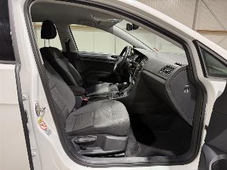 Volkswagen e-Golf 36kWh 100kW Automaat Clima Navi picture 36