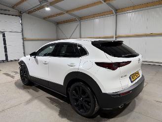 Mazda CX-30 2.5 e-SkyActive-G 103kW Automaat Hybrid Homura picture 11