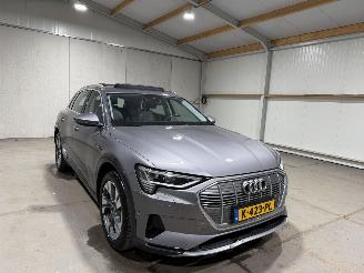 Audi E-tron 50 71kWh 230kW Quattro Luchtvering S Edition Pano picture 3