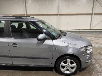 Skoda Fabia 1.2 TDI Greenline Businessline picture 18