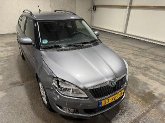 Skoda Fabia 1.2 TDI Greenline Businessline picture 21
