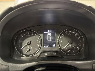 Skoda Fabia 1.2 TDI Greenline Businessline picture 44