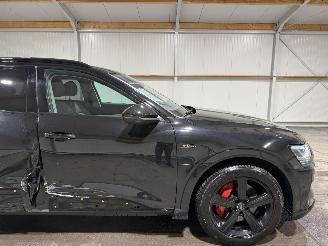 Audi E-tron 50  71kWh 230kW Quattro Launch Edition Plus picture 15