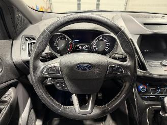 Ford Kuga 1.5EcoBoost 110kW ST Line picture 14