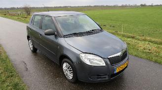 Skoda Fabia 1.2 12v 5drs  Airco 172.000km nap 2008-10  [ top staat picture 14