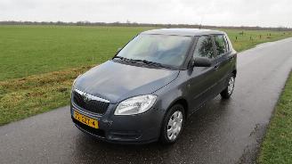 Skoda Fabia 1.2 12v 5drs  Airco 172.000km nap 2008-10  [ top staat picture 12