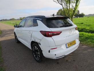 Opel Grandland 1.2  Turbo Automaat  131pk 40.000km 2024 Euro 6 MPV Camera Navigatie Clima picture 12