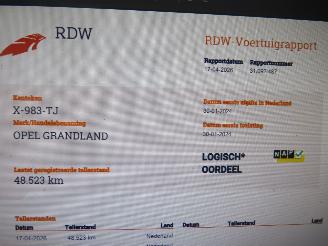Opel Grandland 1.2  Turbo Automaat  131pk 40.000km 2024 Euro 6 MPV Camera Navigatie Clima picture 10