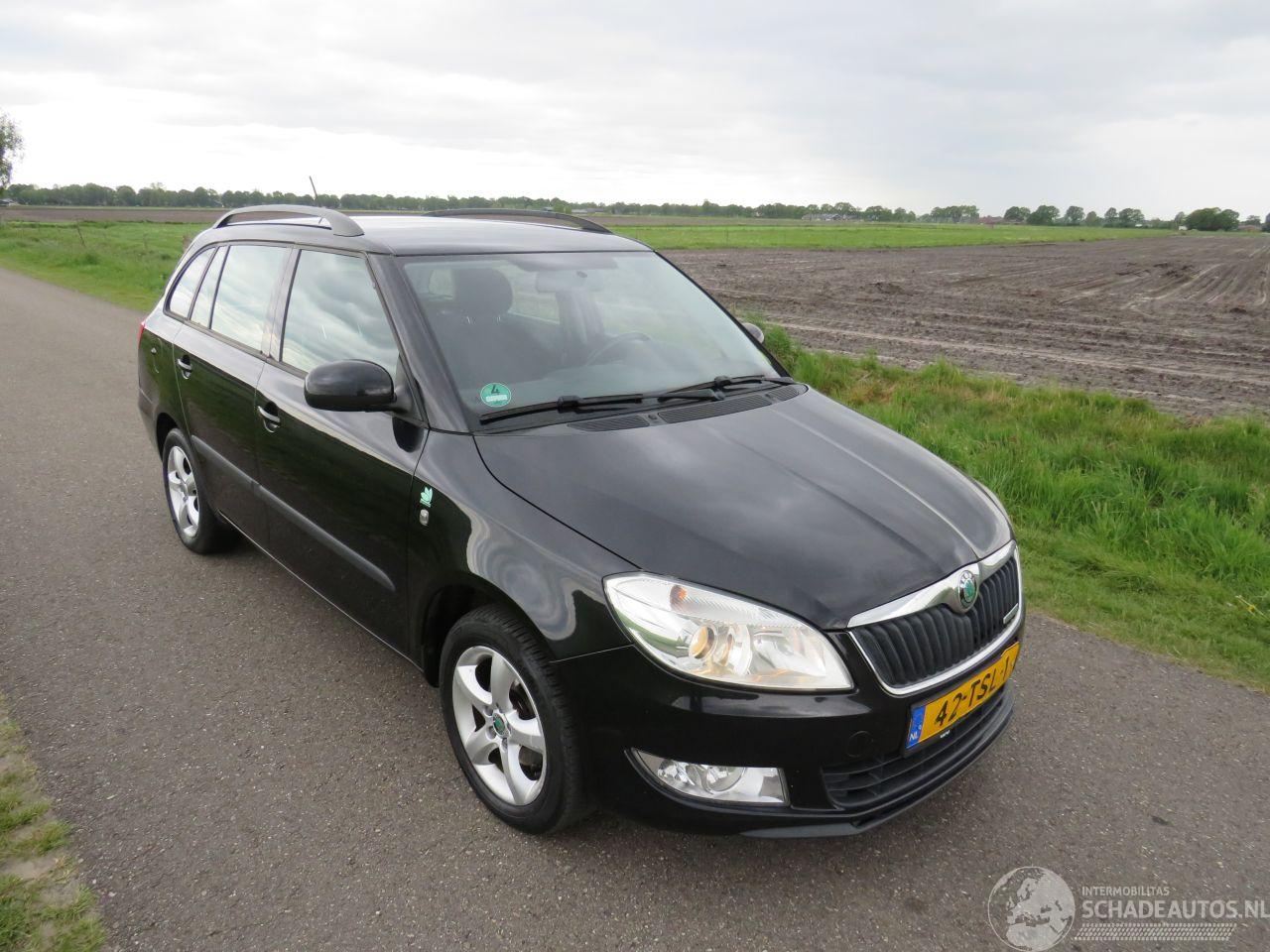 Skoda Fabia 1.2 TDi Greenline Business Line Navigatie Airco Climaat 2012