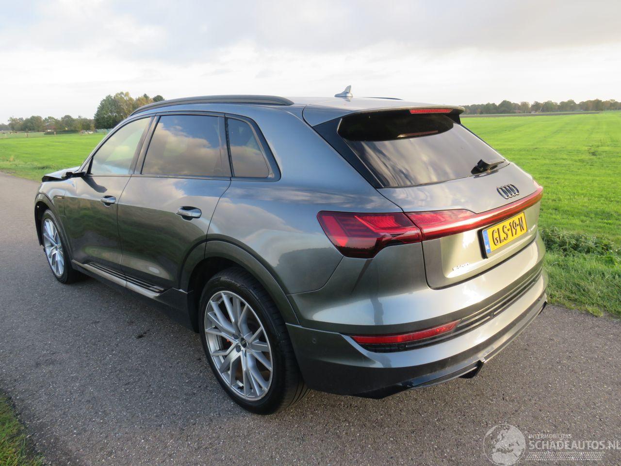 Audi E-tron 55 Quattro S Line Busines 450pk Elektrisch Mpv  Suv 2020-11 Topstaat 4x4