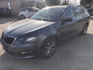 škoda osobní automobily Skoda Octavia Octavia Combi 1.0 TSI Greentech Ambition Business 2019/8