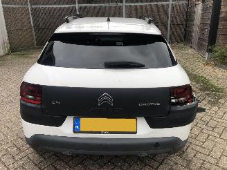 Citroën C4 cactus C4 Cactus 1.2 PureTech Shine picture 7