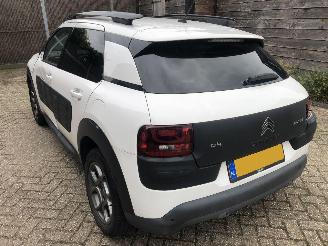 Citroën C4 cactus C4 Cactus 1.2 PureTech Shine picture 5