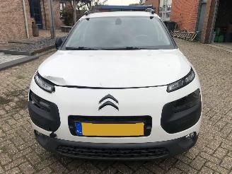 Citroën C4 cactus C4 Cactus 1.2 PureTech Shine picture 2