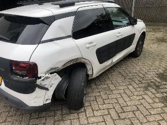 Citroën C4 cactus C4 Cactus 1.2 PureTech Shine picture 8