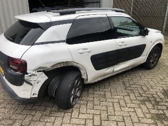Citroën C4 cactus C4 Cactus 1.2 PureTech Shine picture 9