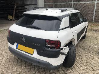 Citroën C4 cactus C4 Cactus 1.2 PureTech Shine picture 10