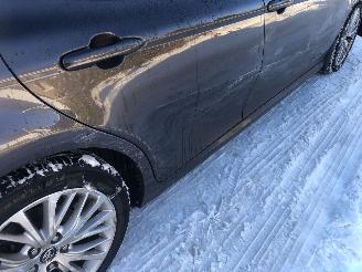 Toyota Camry Camry 2.5 Hybrid Premium picture 8