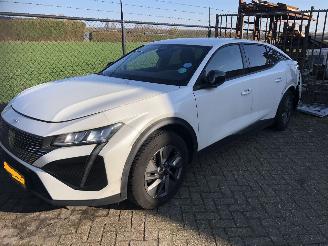  Peugeot 408 408 1.2 PureTech Allure 130 EAT8 2023/9