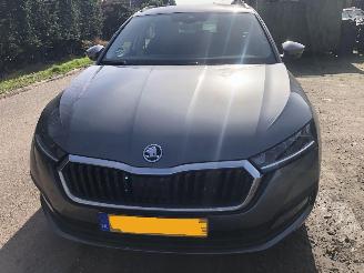  Skoda Octavia Octavia Combi 1.0 TSI Business Edition 2023/7