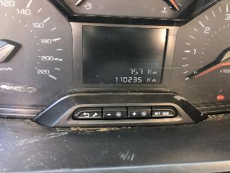 Peugeot Partner Partner 1.5 BlueHDI Premium picture 11