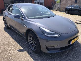  Tesla Model 3 Model 3 Standard RWD Plus 60 kWh 2019/8