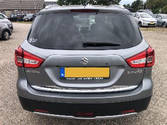Suzuki S-Cross 1.0 boosterjet exclusive picture 6