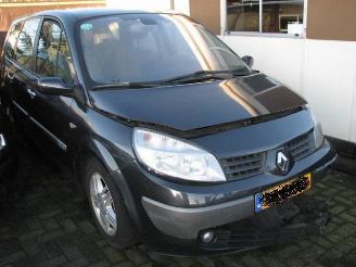 uszkodzony samochody osobowe Renault Grand-scenic 2.0 16v 99kw automaat 2005/1