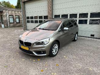 Avarii autoturisme BMW 2-serie Gran Tourer 218i High Executive Pano Leder 2016/6