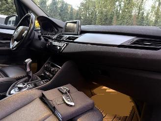 BMW 2-serie Gran Tourer 218i High Executive Pano Leder picture 5
