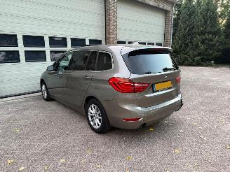 BMW 2-serie Gran Tourer 218i High Executive Pano Leder picture 3