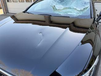 Volkswagen Golf 1.5 eHybrid 50 Edition PHEV Automaat Memory Clima 60017 Km NAP ! picture 22