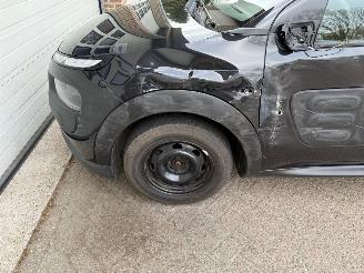 Citroën C4 cactus 1.2 Puretech Feel Navi Clima Cruise NAP ! picture 15