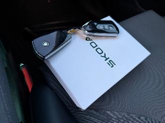 Skoda Enyaq 85 kWh Business Edition Navi Clima 26005 Km NAP picture 9